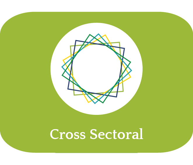 Cross Sectoral